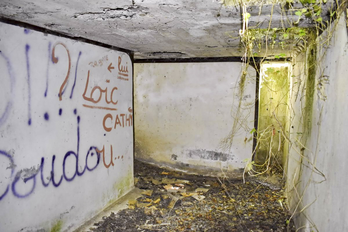 Ligne Maginot - PA PETIT-LANDAU 10 - (Abri) - Sous-sol, vue sur le puits d'entrée - D. Froehly