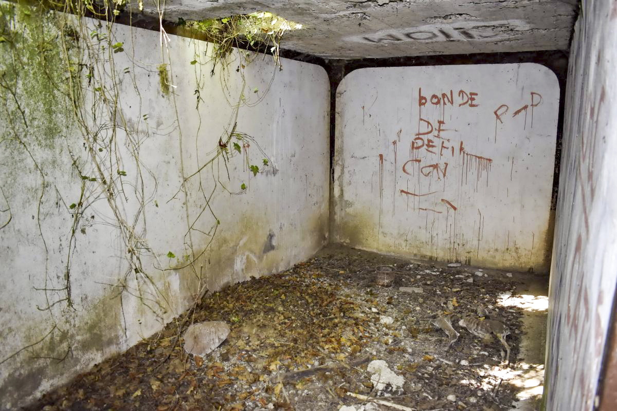 Ligne Maginot - PA PETIT-LANDAU 10 - (Abri) - Sous-sol, grande pièce - D. Froehly