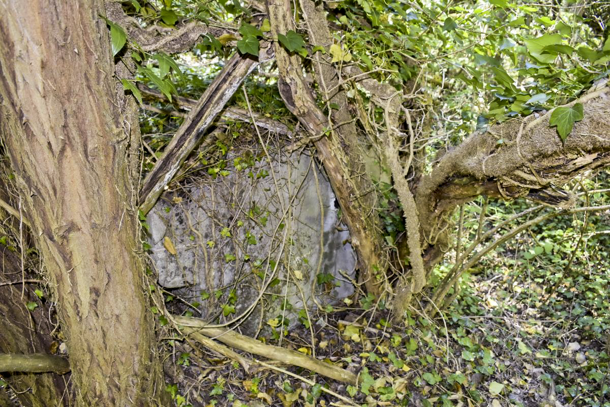 Ligne Maginot - PA PETIT-LANDAU 10 - (Abri) - Bac à eau avec une prise pour pomper l’eau dans la nappe phréatique - D. Froehly