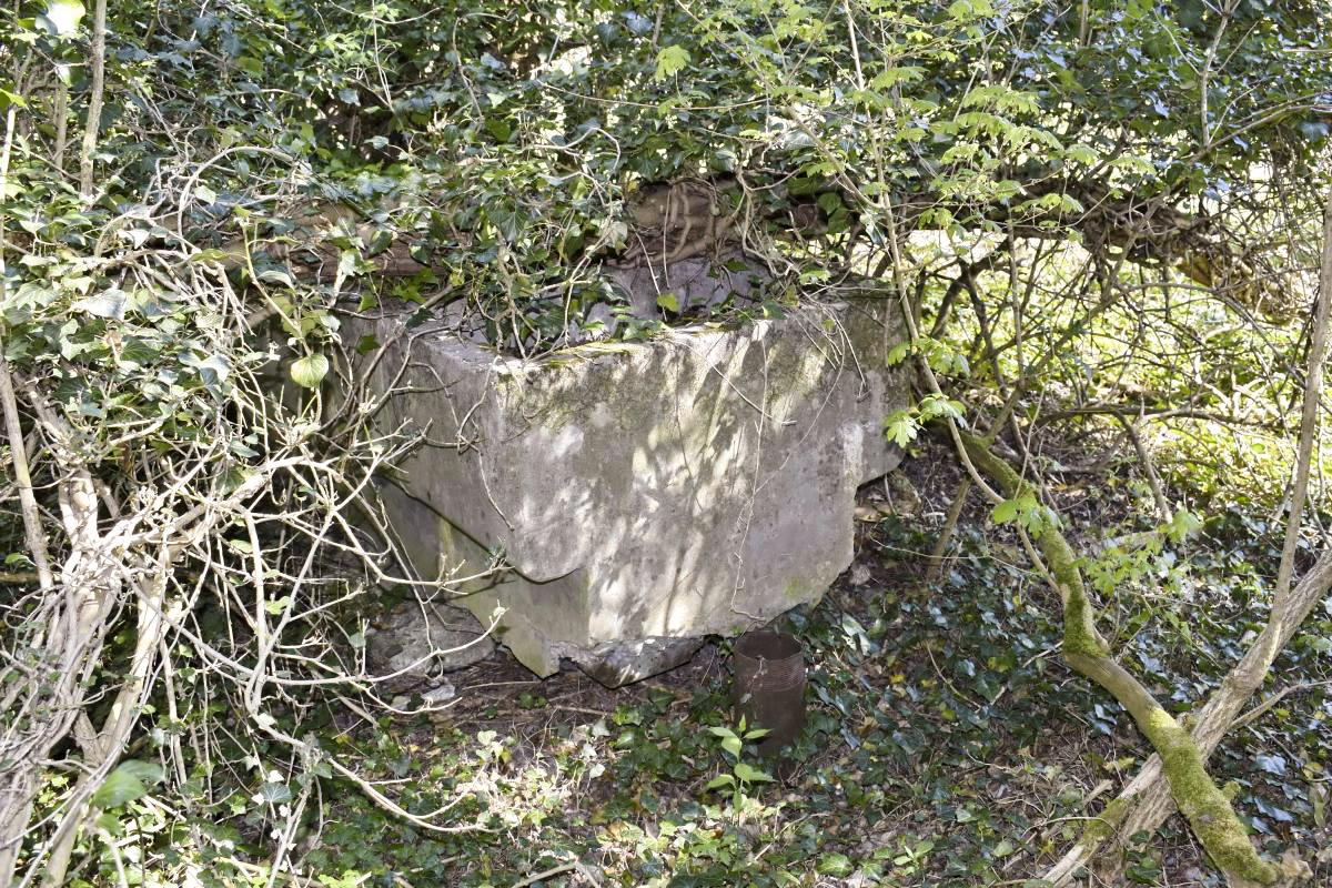 Ligne Maginot - PA PETIT-LANDAU 10 - (Abri) - Bac à eau avec une prise pour pomper l’eau dans la nappe phréatique - D. Froehly