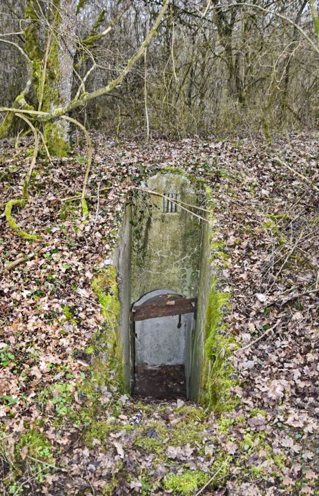 Ligne Maginot - PETIT-LANDAU OUEST (I/10° RIF) - (PC de Sous-Quartier) - Entrée nord - Daniel Froehly