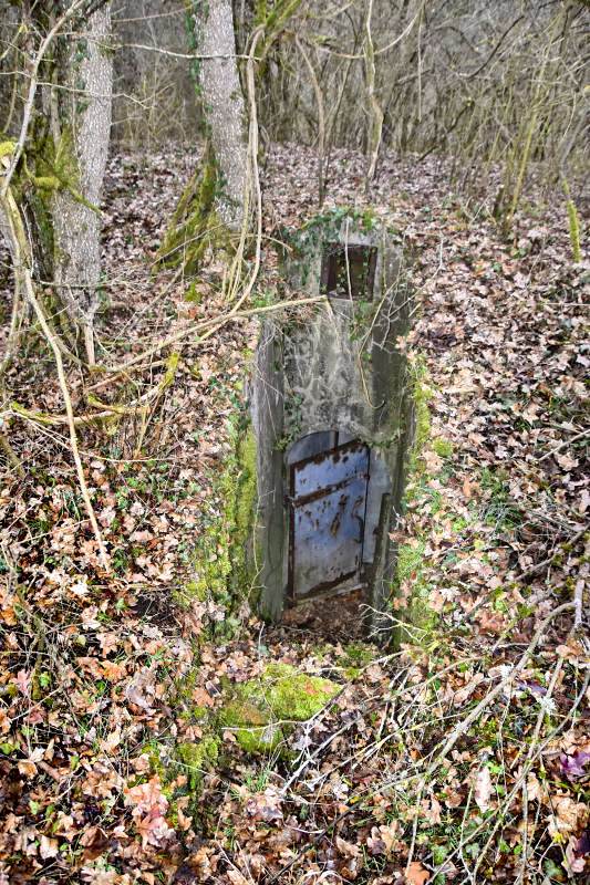 Ligne Maginot - PETIT-LANDAU OUEST (I/10° RIF) - (PC de Sous-Quartier) - Entrée sud - Daniel Froehly