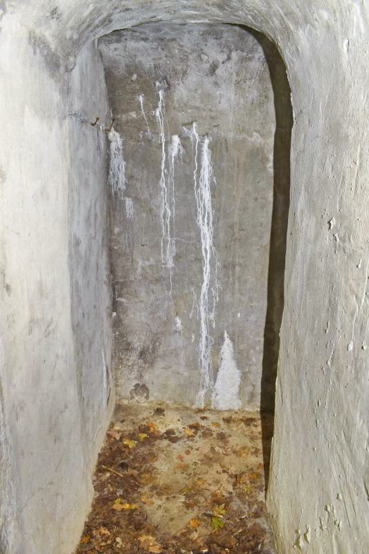 Ligne Maginot - PETIT-LANDAU OUEST (I/10° RIF) - (PC de Sous-Quartier) - Entrée nord, couloir. - Daniel Froehly