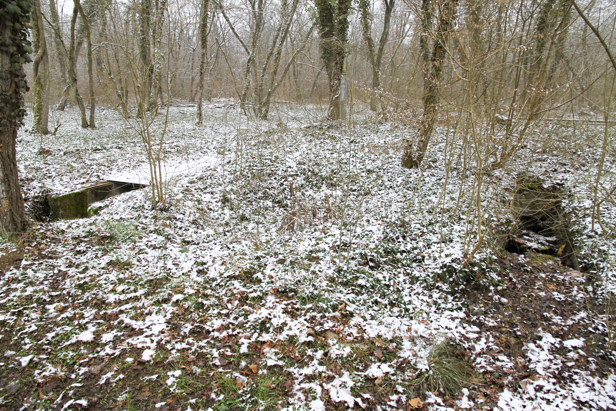 Ligne Maginot - SCHLOSSWEG NORD-OUEST (II/10° RIF ET 8° BM) - (PC de Quartier) - Abri à deux entrées - Alain Perouffe