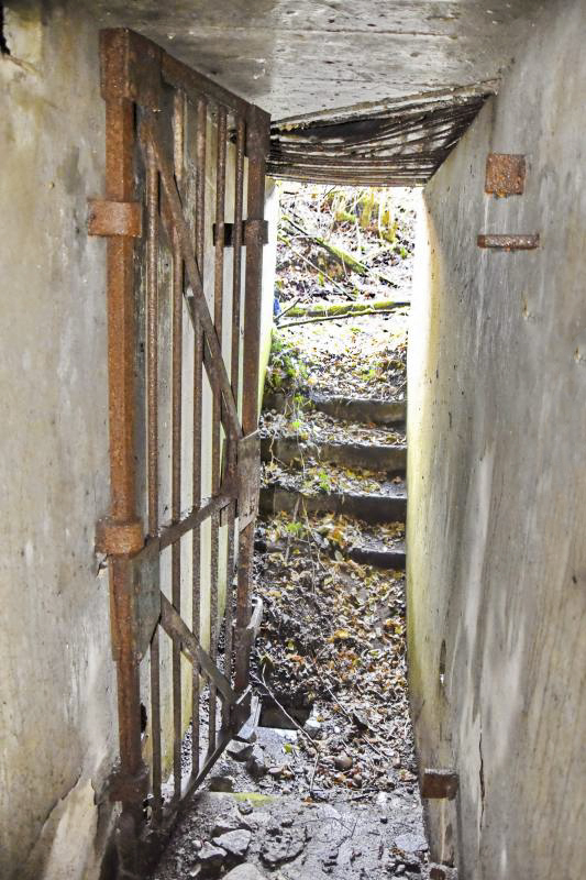 Ligne Maginot - VOIE-FERREE 3 - (Cuve pour arme d'infanterie) - Entrée de l'abri et la grille - Daniel Froehly