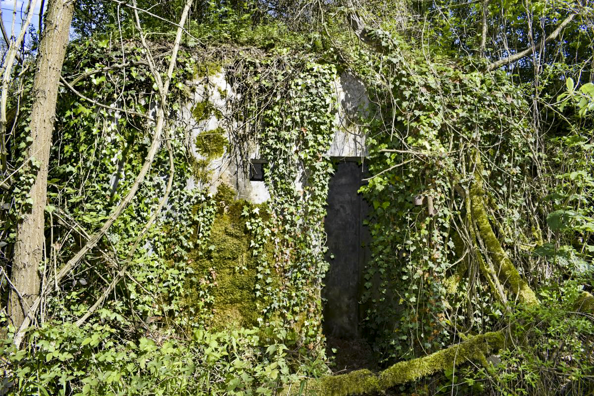 Ligne Maginot - VOIE-FERREE 5 - (Blockhaus pour arme infanterie) - Entrée coté ouest - D. Froehly