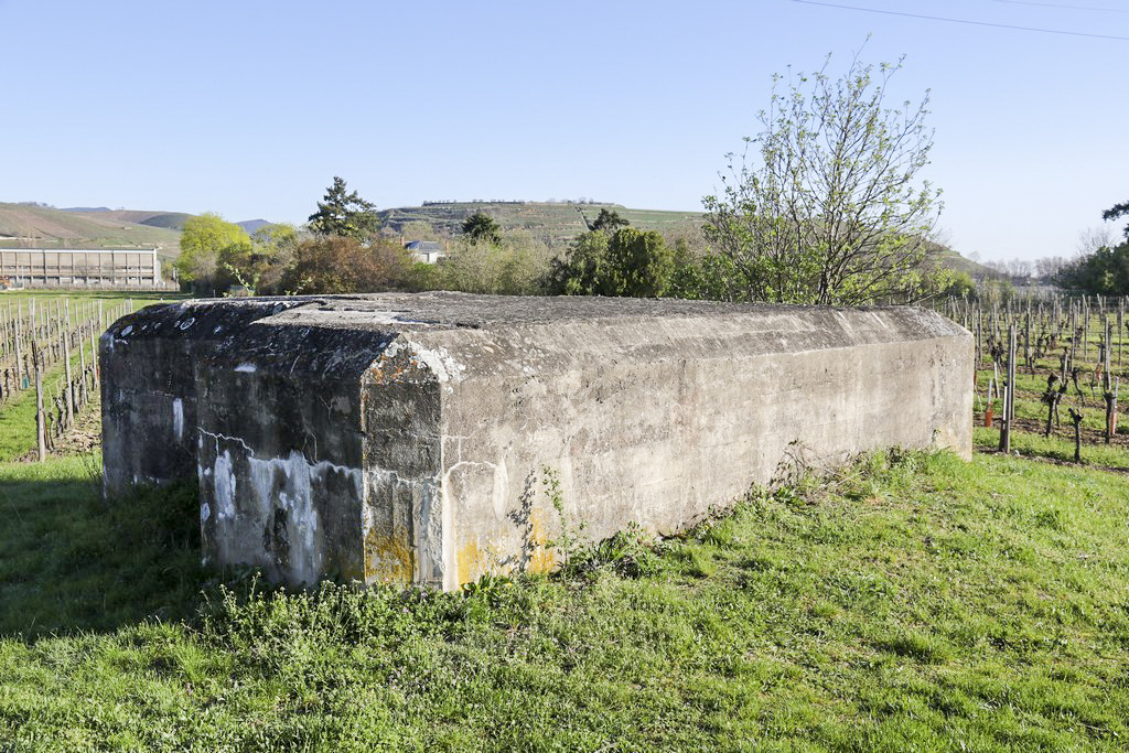 Ligne Maginot - LANGGASS NORD - (Blockhaus pour arme infanterie) -  - Alain Perouffe