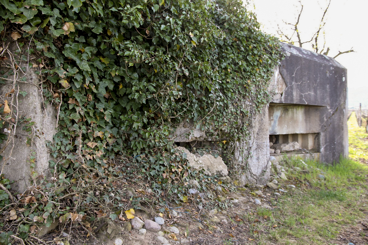 Ligne Maginot - BENNWIHR EST - (Blockhaus pour arme infanterie) -  - Alain Perouffe