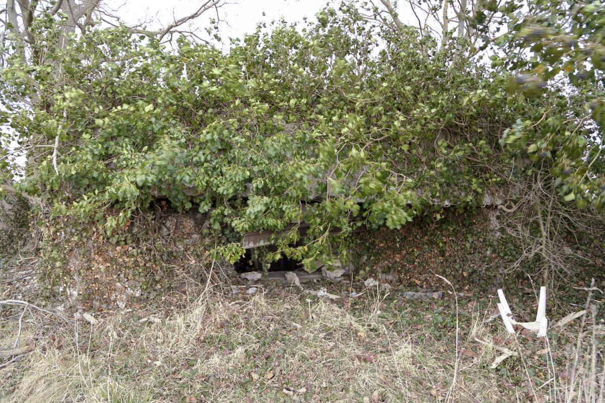 Ligne Maginot - B138 - ARTZENHEIM SUD 1 - (Blockhaus pour canon) -  - A. SCHOEN