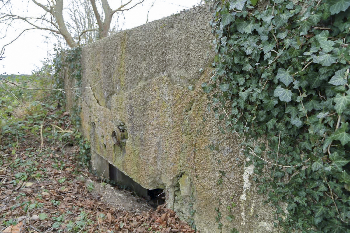 Ligne Maginot - B138 - ARTZENHEIM SUD 1 - (Blockhaus pour canon) -  - A. SCHOEN