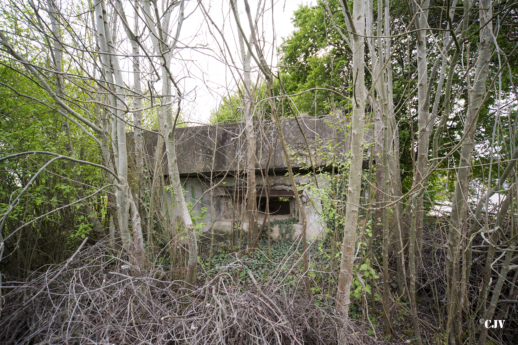 Ligne Maginot - RICHTOLSHEIM 3 - (Blockhaus pour canon) -  - Lia VERMEULEN