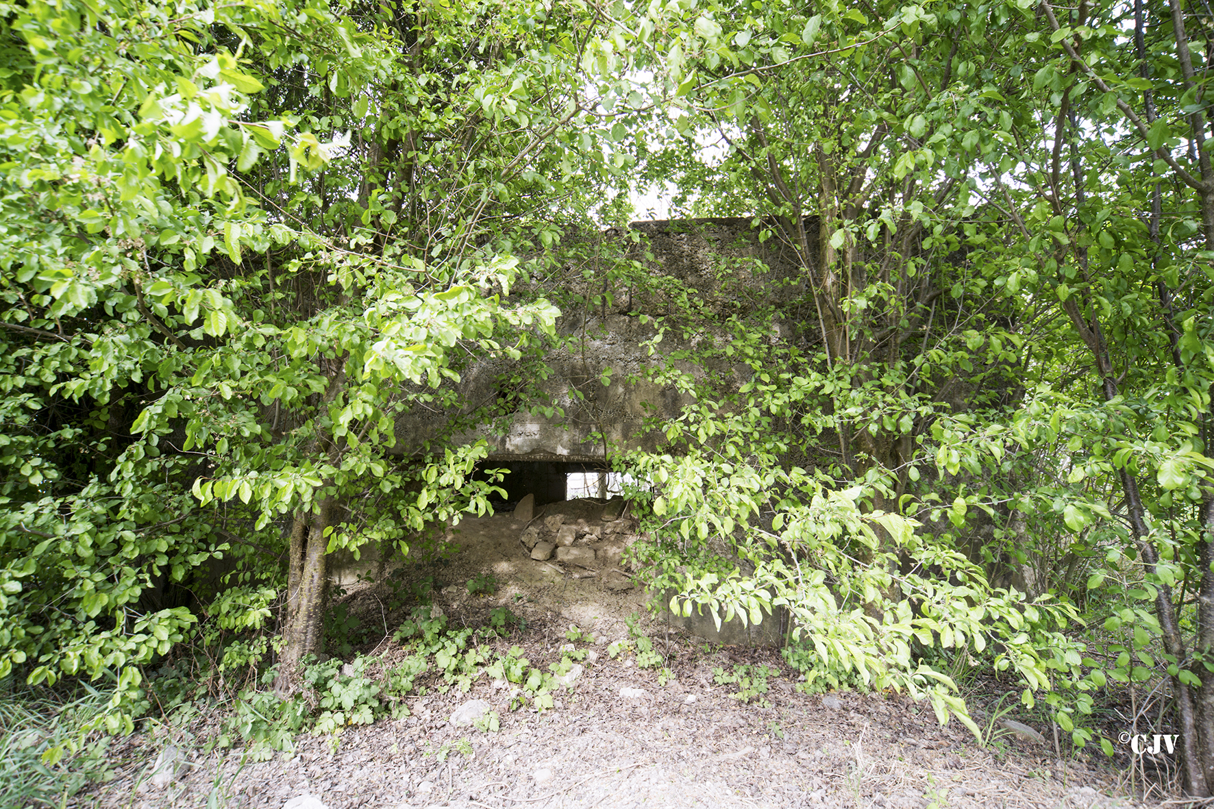 Ligne Maginot - RICHTOLSHEIM 3 - (Blockhaus pour canon) -  - Lia VERMEULEN