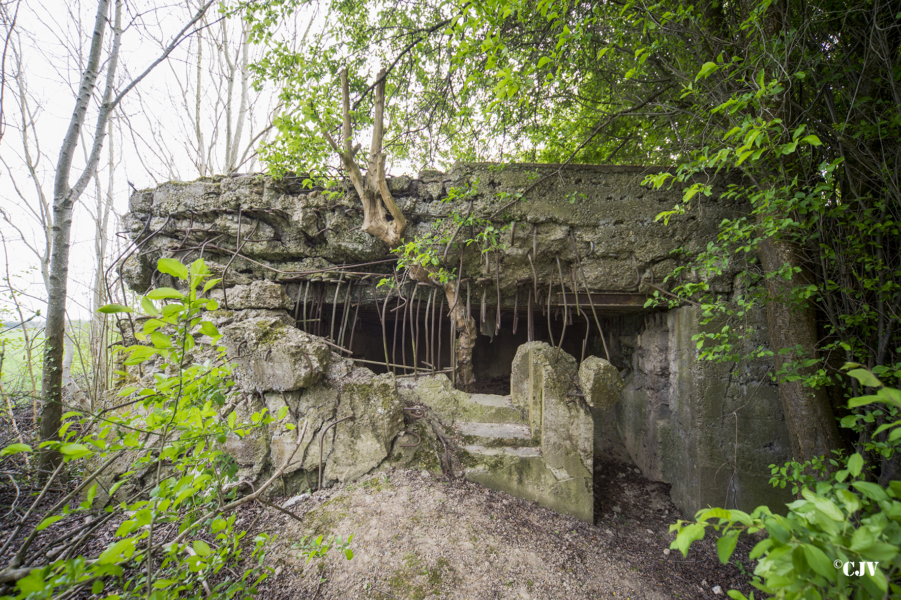 Ligne Maginot - RICHTOLSHEIM 3 - (Blockhaus pour canon) -  - Lia VERMEULEN