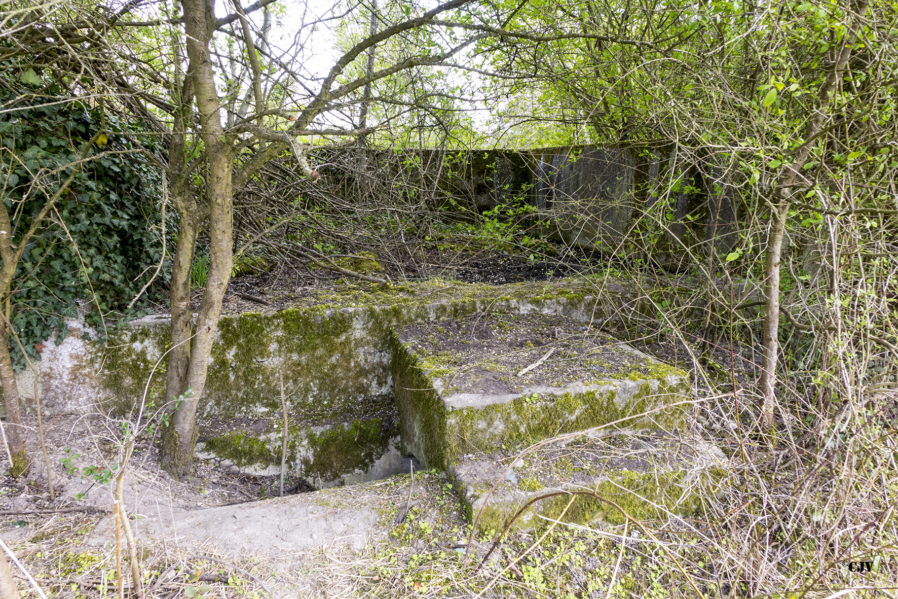 Ligne Maginot - ECLUSE 70 NORD - (Cuve pour canon) -  - Lia VERMEULEN
