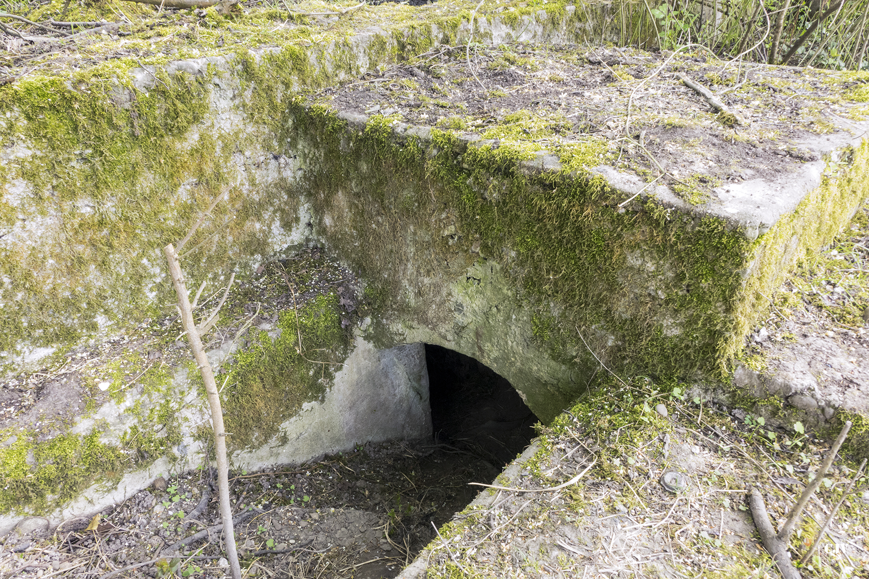 Ligne Maginot - ECLUSE 70 NORD - (Cuve pour canon) -  - Lia VERMEULEN