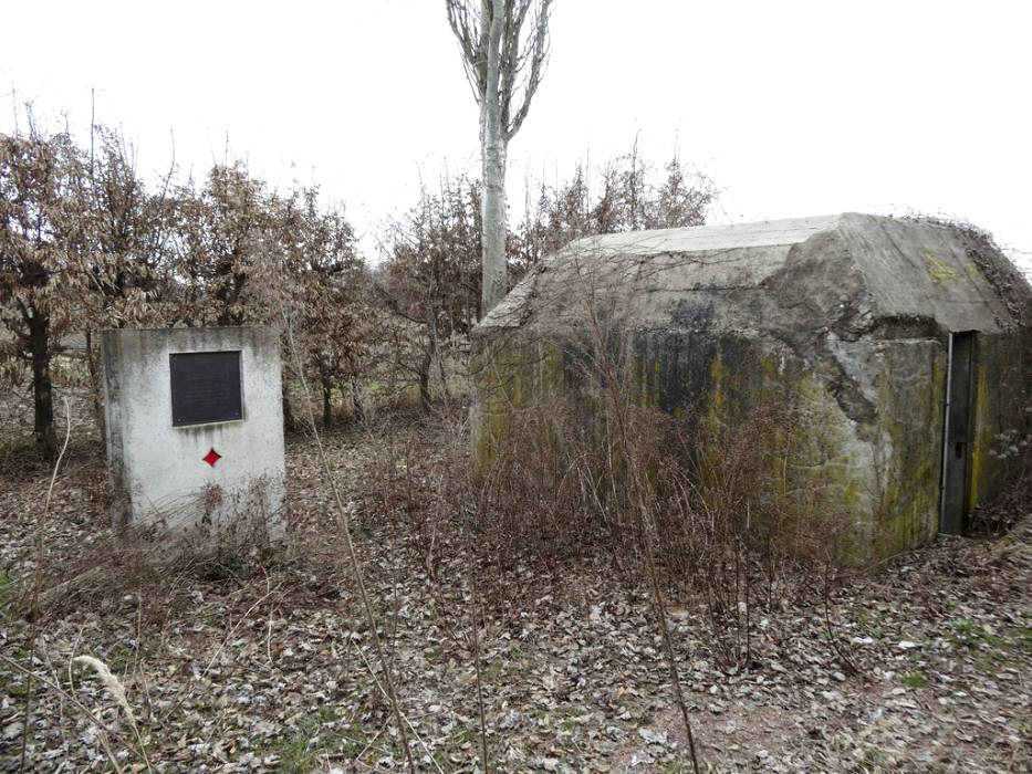 Ligne Maginot - H8 - BALTZENHEIM SUD EST - (Blockhaus pour arme infanterie) -  - Lionnel SPERANDIO