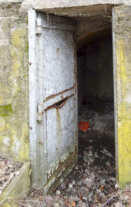 Ligne Maginot - H8 - BALTZENHEIM SUD EST - (Blockhaus pour arme infanterie) -  - Lionnel SPERANDIO