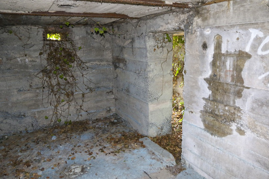 Ligne Maginot - JEBSHEIM 4 - (Abri) -  - Alain Perouffe