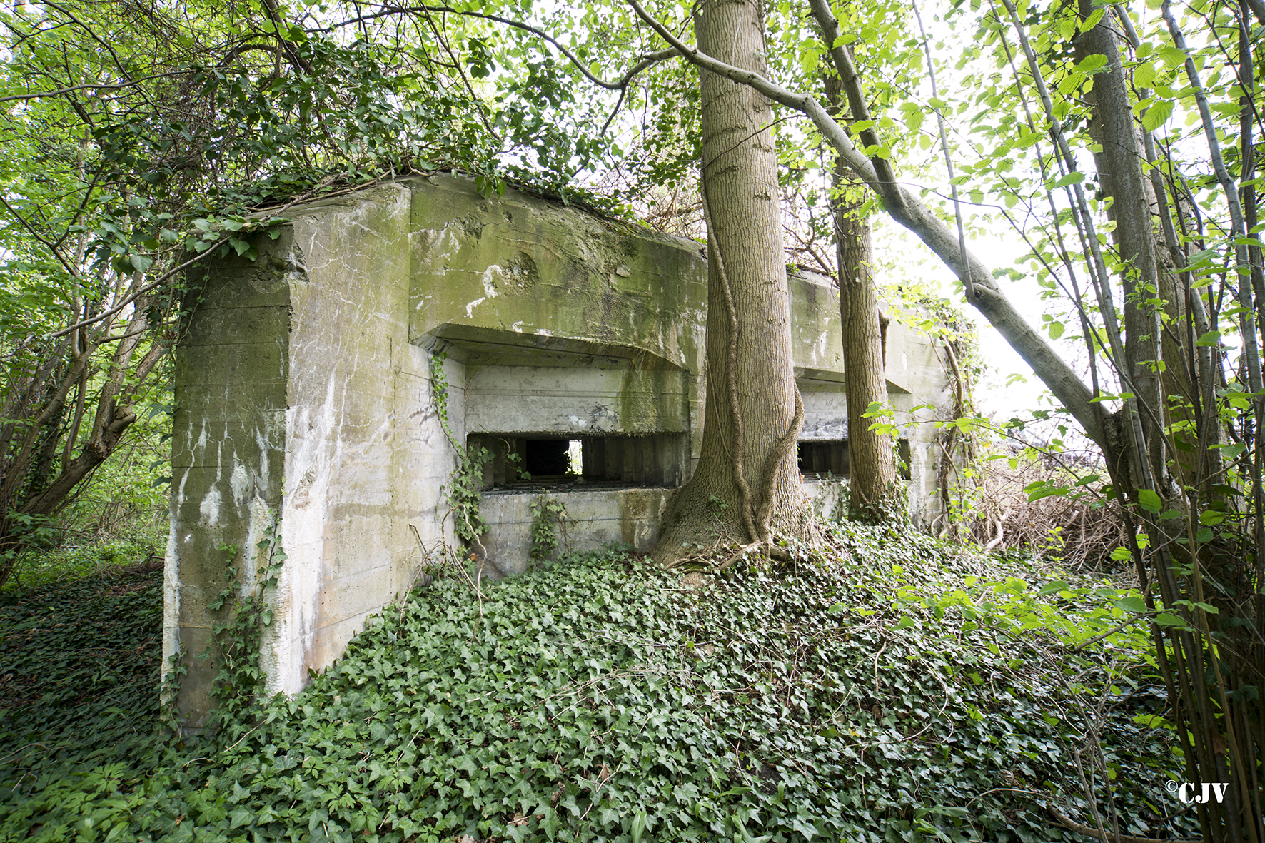 Ligne Maginot - LEIMEN - (Blockhaus pour arme infanterie) -  - Lia VERMEULEN