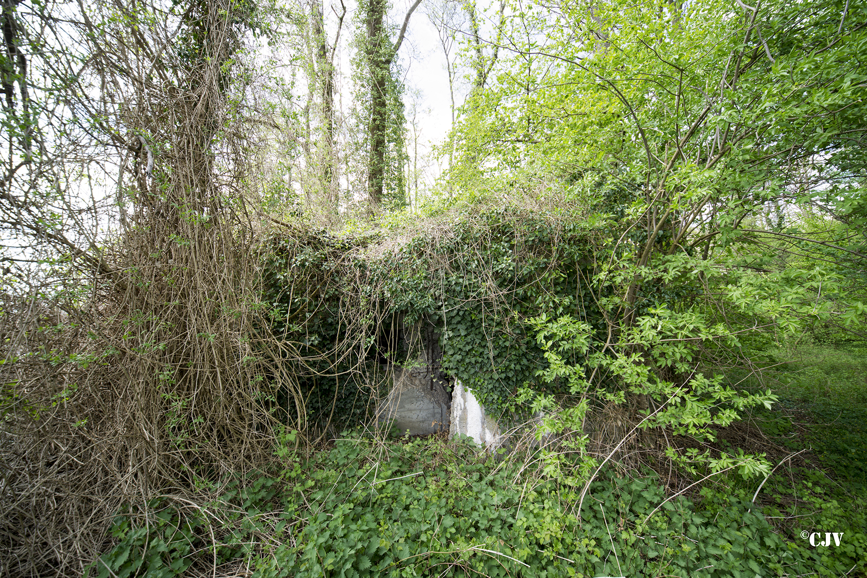 Ligne Maginot - LEIMEN - (Blockhaus pour arme infanterie) -  - Lia VERMEULEN