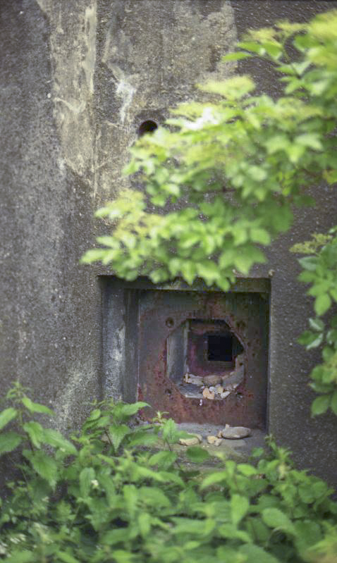 Ligne Maginot - 49/3 - BALGAU SUD - (Casemate d'infanterie - double) - La casemate en 1999 - Valentin Hemmert