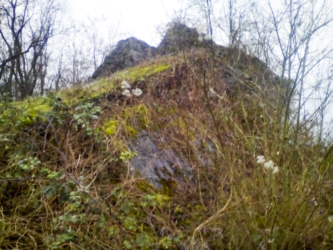 Ligne Maginot - 47/3 - NAMBSHEIM NORD - (Casemate d'infanterie - Double) -  - Nicolas MULLER
