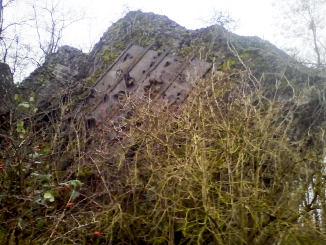 Ligne Maginot - 47/3 - NAMBSHEIM NORD - (Casemate d'infanterie - Double) -  - Nicolas MULLER