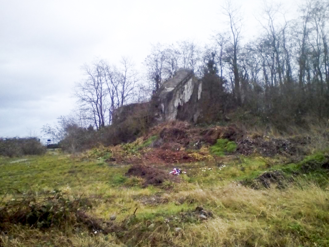 Ligne Maginot - 47/3 - NAMBSHEIM NORD - (Casemate d'infanterie - Double) -  - Nicolas MULLER