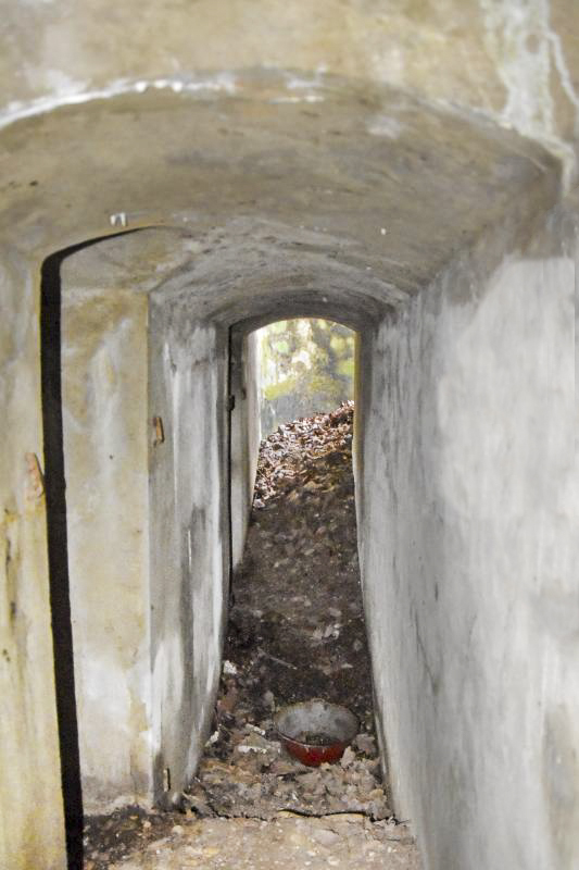 Ligne Maginot - BOIS DE DESSENHEIM (28°RIF) - (PC de Sous-Secteur) - Couloir, au fond l'entrée ouest, deux chambres sur la gauche - Daniel Froehly