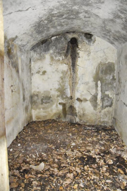 Ligne Maginot - BOIS DE DESSENHEIM (28°RIF) - (PC de Sous-Secteur) - Chambre est - Daniel Froehly