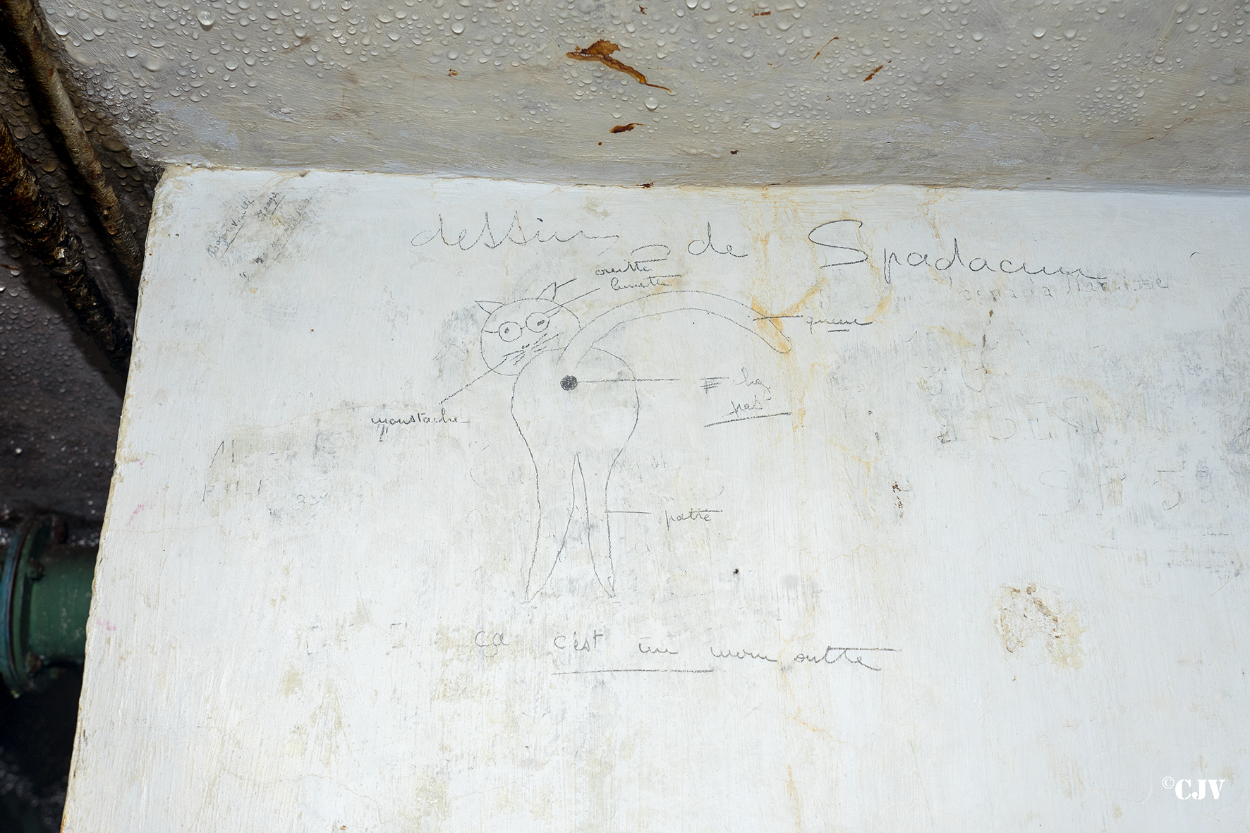 Ligne Maginot - LAVOIR - (Ouvrage d'artillerie) - Bloc 4 
Graffiti - Lia VERMEULEN
