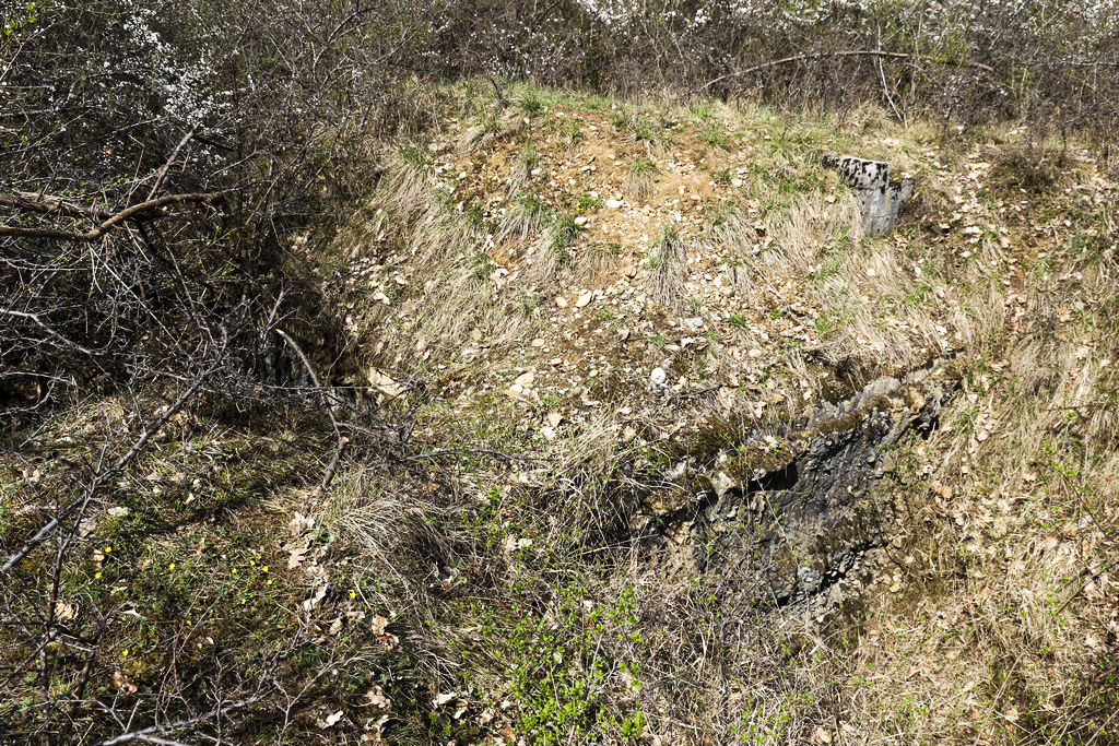 Ligne Maginot - BOIS DE DESSENHEIM SUD 11 - (PC) - Abri à 2 entrées.
Inaccessible - Alain Perouffe