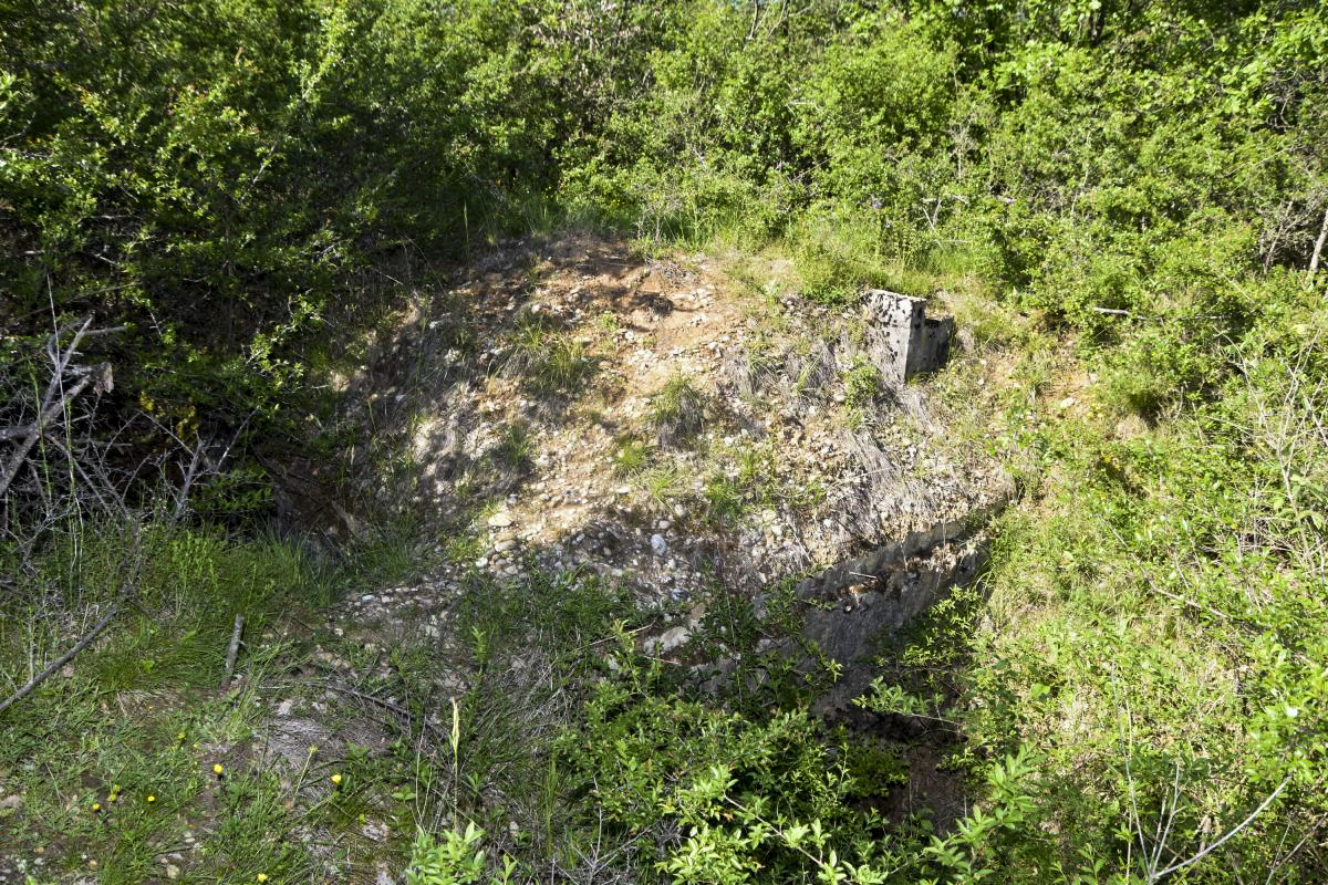 Ligne Maginot - BOIS DE DESSENHEIM SUD 11 - (PC) -  - Daniel Froehly