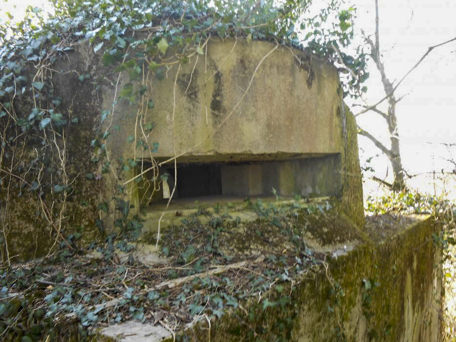 Ligne Maginot - ECLUSE 53 SUD - (Blockhaus pour canon) -  - 42RIF