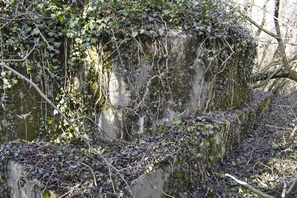 Ligne Maginot - ECLUSE 53 SUD - (Blockhaus pour canon) - Extérieur de la chambre de tir en forme de coupole - D. Froehly