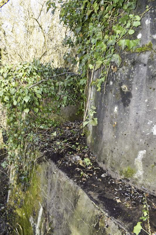 Ligne Maginot - ECLUSE 53 SUD - (Blockhaus pour canon) - Extérieur de la chambre de tir en forme de coupole - D. Froehly