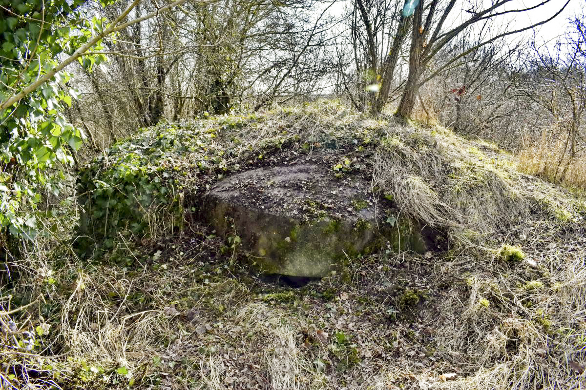 Ligne Maginot - ECLUSE 53 NORD - (Blockhaus pour arme infanterie) - Coupole nord - D. Froehly