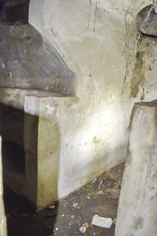 Ligne Maginot - ECLUSE 53 NORD - (Blockhaus pour arme infanterie) - L'accès à l'observatoire - D. Froehly