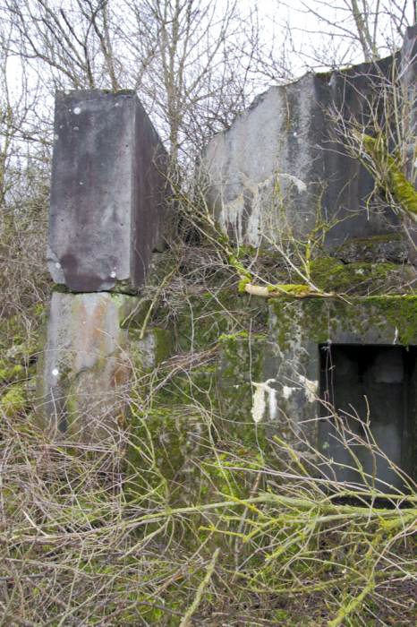 Ligne Maginot - ECLUSE D'HIRTZFELDEN SUD - (Blockhaus pour arme infanterie) - L'escalier - Les Gardiens du Rhin