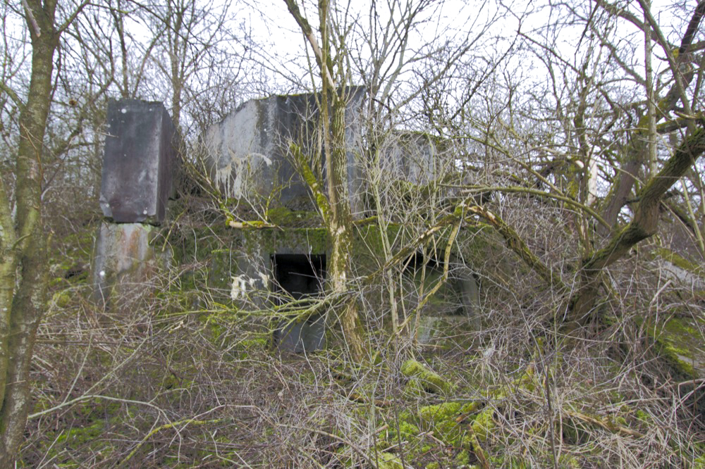 Ligne Maginot - ECLUSE D'HIRTZFELDEN SUD - (Blockhaus pour arme infanterie) - Vue générale - Les Gardiens du Rhin