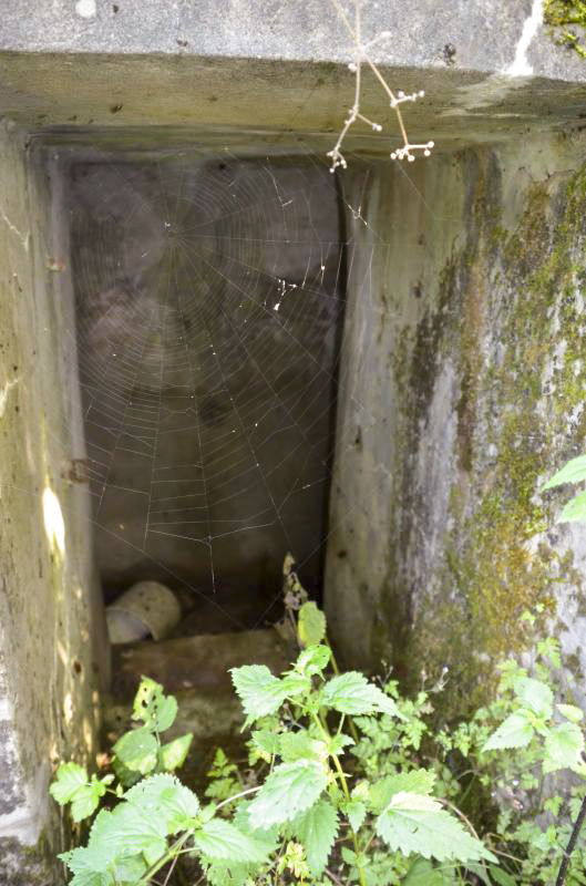 Ligne Maginot - ECLUSE D'HIRTZFELDEN SUD - (Blockhaus pour arme infanterie) -  - D Froehly