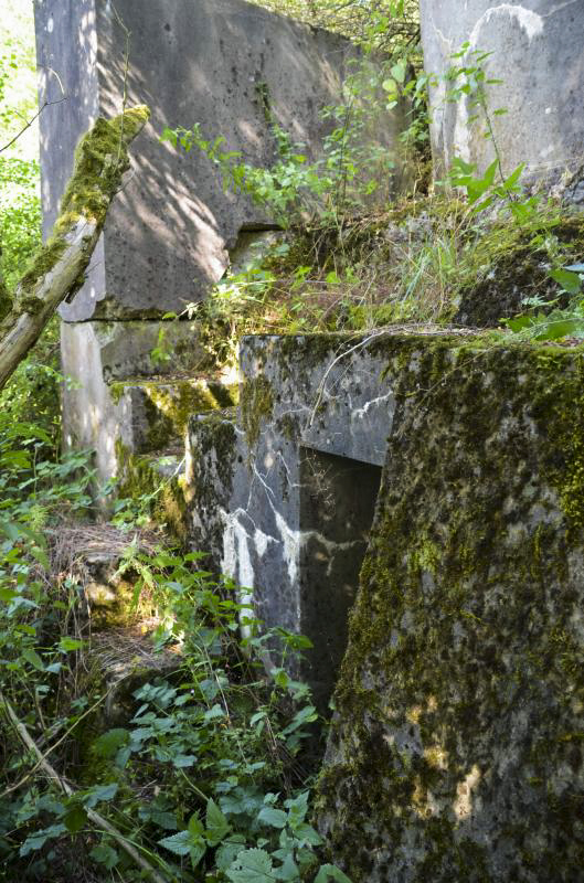 Ligne Maginot - ECLUSE D'HIRTZFELDEN SUD - (Blockhaus pour arme infanterie) -  - D Froehly