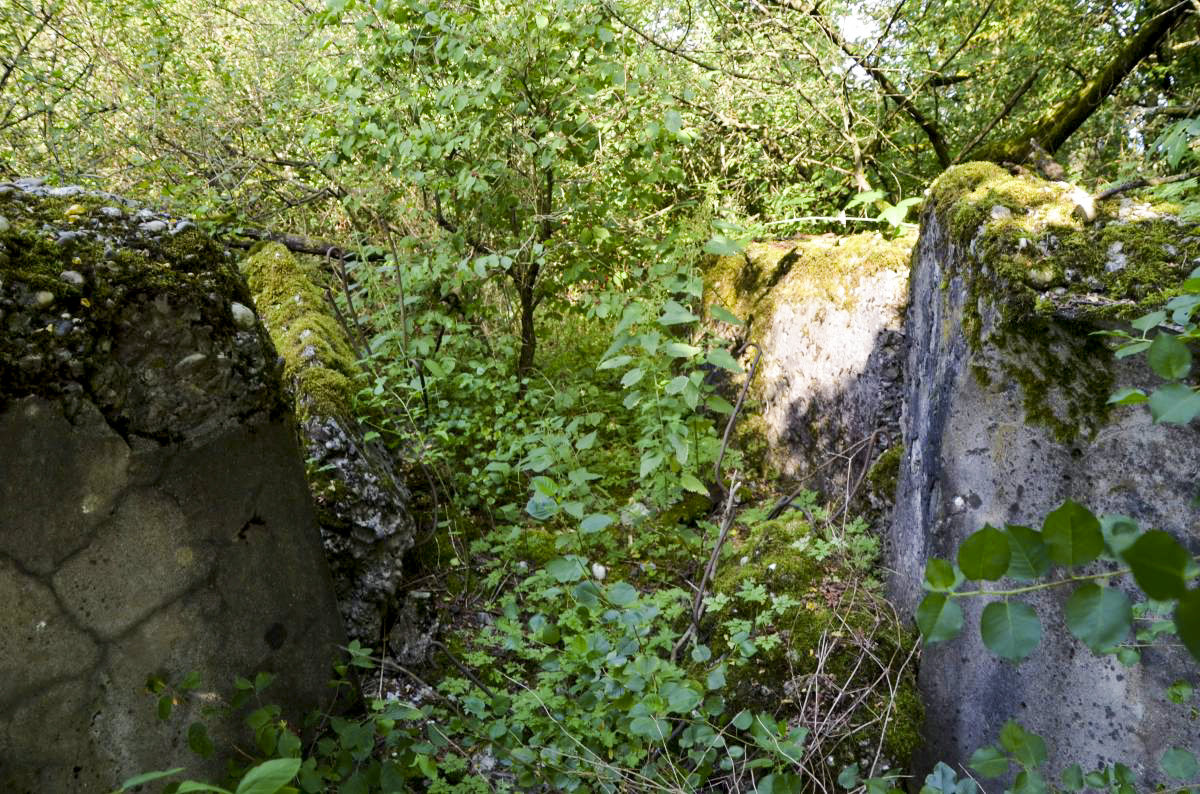 Ligne Maginot - ECLUSE D'HIRTZFELDEN SUD - (Blockhaus pour arme infanterie) -  - D Froehly