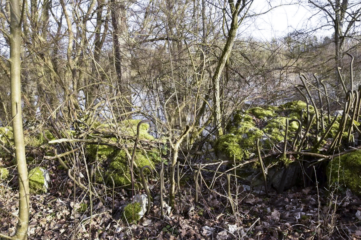 Ligne Maginot - G32 - MUHLWINKEL NORD - (Blockhaus pour arme infanterie) - Restes du blockhaus dynamité - D.Froehly