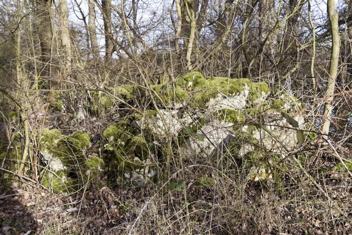 Ligne Maginot - G32 - MUHLWINKEL NORD - (Blockhaus pour arme infanterie) - Restes du blockhaus dynamité - D.Froehly