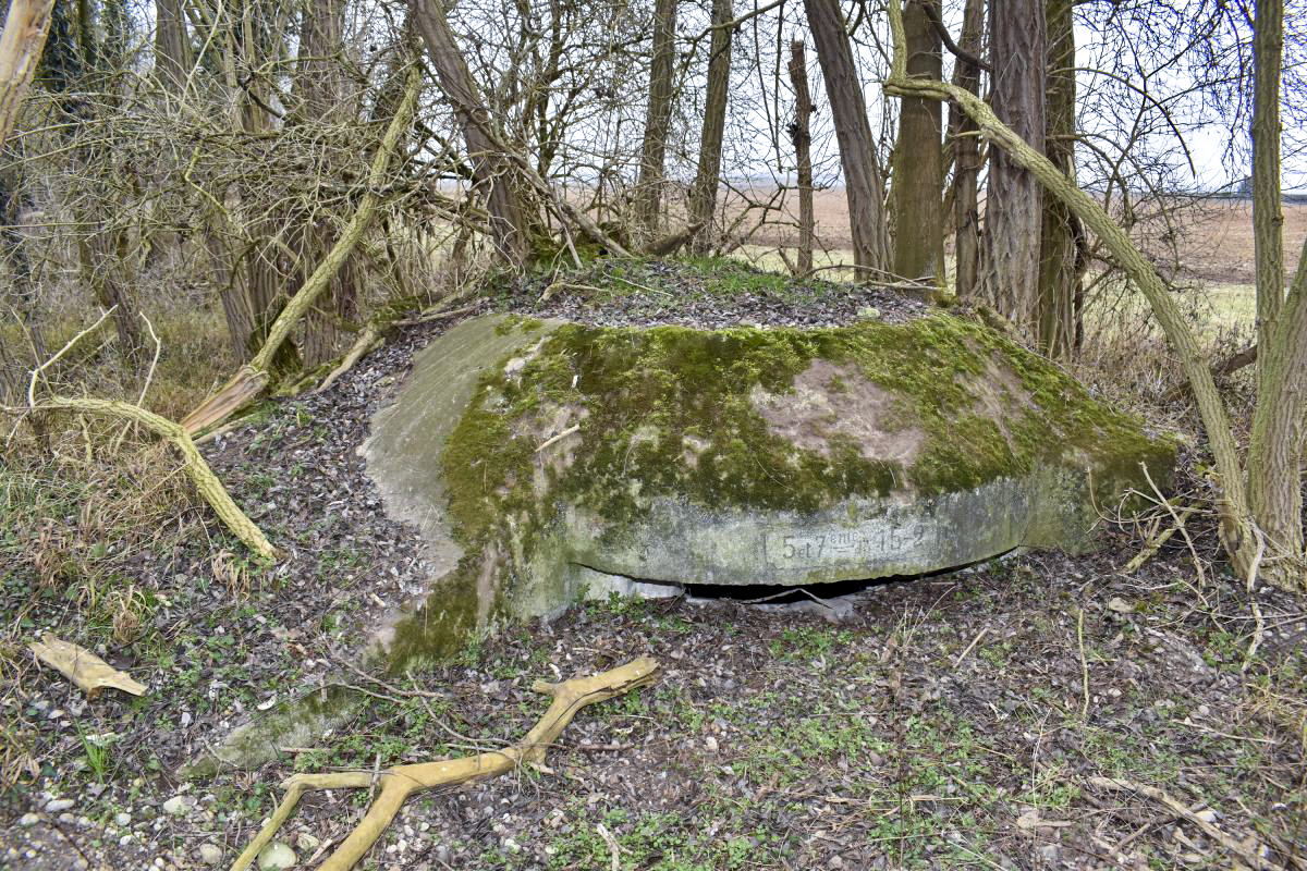 Ligne Maginot - STOECKLE - GOLDGRUBE 2 - (Blockhaus pour arme infanterie) - Coupole avec le cartouche '5 et 7ème Cie du 15-2' et l'emplacement du blason disparu. - Daniel Froehly