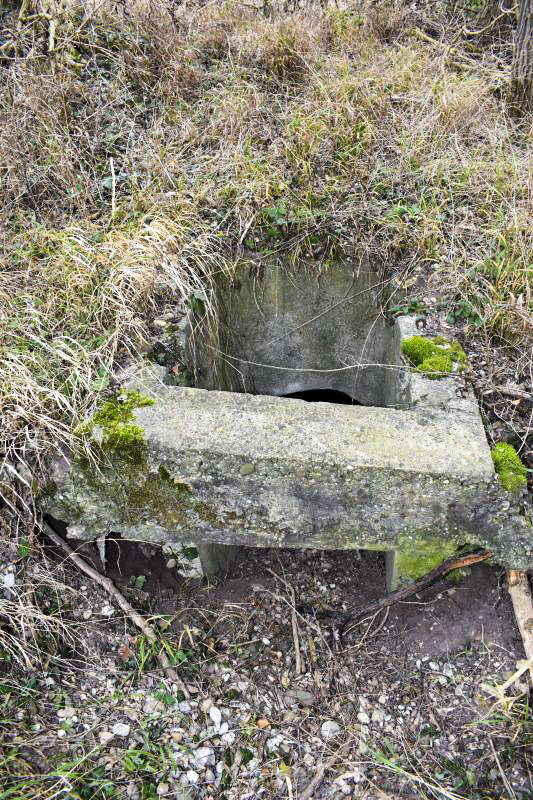 Ligne Maginot - STOECKLE - GOLDGRUBE 2 - (Blockhaus pour arme infanterie) - L'entrée 'mixte' en puits et directe. L'entrée directe enterrée est visible sous le linteau. - Daniel Froehly