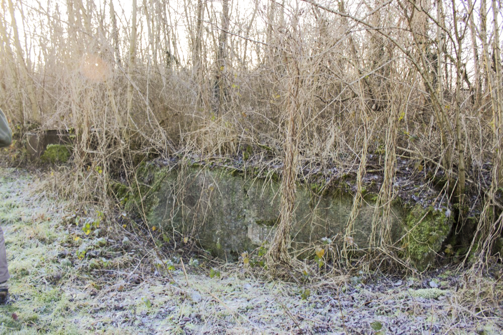 Ligne Maginot - GLACIS SUD DE NEUF-BRISACH - (Blockhaus pour arme infanterie) - Vue générale extérieure - Antoine SCHOEN