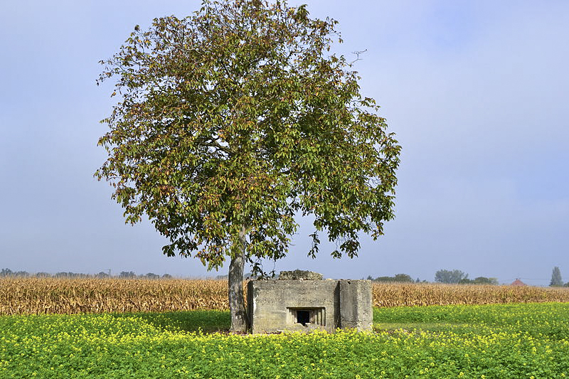 Ligne Maginot - GEISWASSER 1 - (Blockhaus pour canon) -  - Florival fr