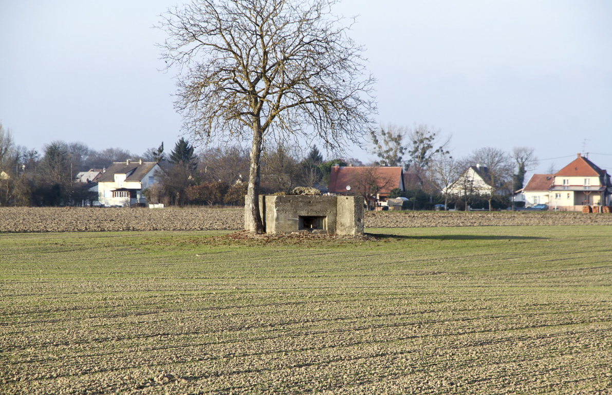 Ligne Maginot - GEISWASSER 1 - (Blockhaus pour canon) -  - Alain Perouffe